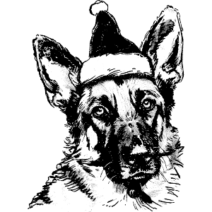 German Shepherd Wearing Santa Hat