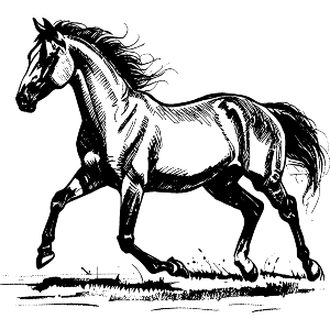 Horse Trotting