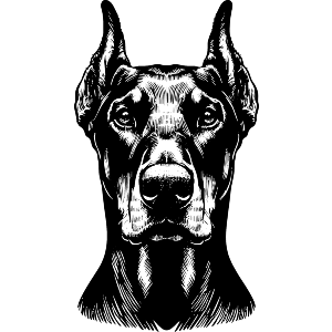 Doberman Dog Portrait