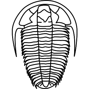 Trilobite