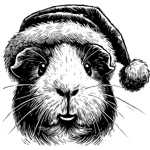 Guinea Pig Wearing Santa Hat