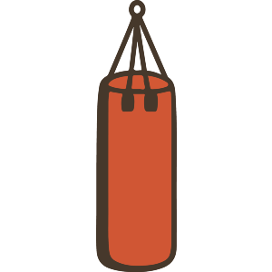 Punching Bag