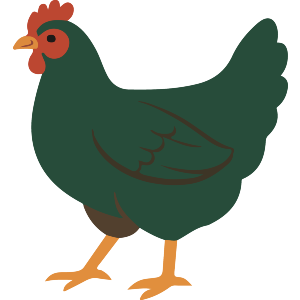 Plump Hen