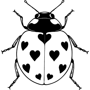 Ladybird with hearts