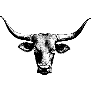 Longhorn Bull