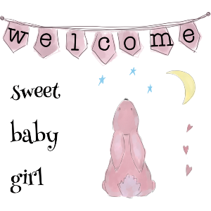 Welcome Sweet Baby Girl