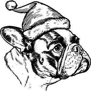 French Bulldog Wearing Santa Hat