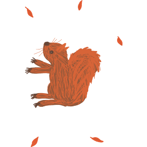 Squirrel On A Blustery Day