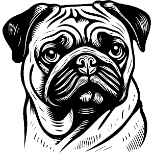 Pug