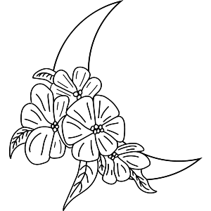Moon & Flowers