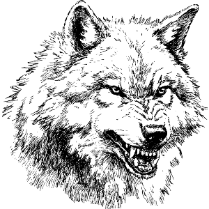 Growling Wolf 