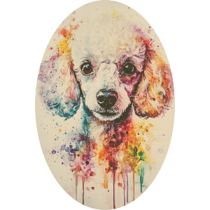 Poodle Portrait
