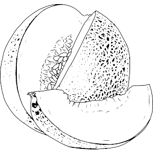 Sliced Cantaloupe Melon