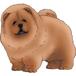 Standing Chowchow