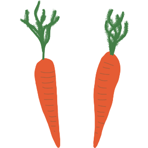 Two Large Carrots 
