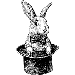 Magic Rabbit
