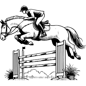 Champion Show Jumper