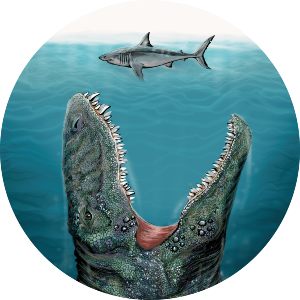 Mosasaurus Dinosaur & Shark