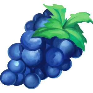 Grapes