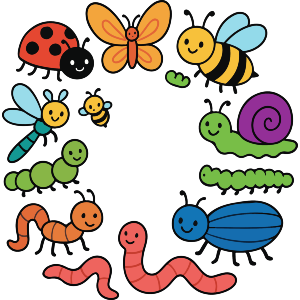 Adorable Insects