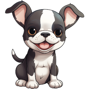 Boston Terrier