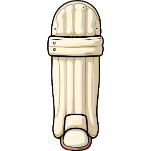 Cricket Pads