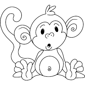 Sitting Baby Monkey