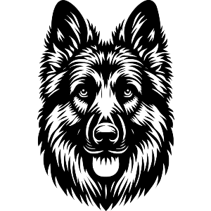 German Shepherd Dog Front View