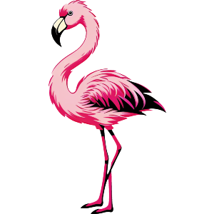 Pink Flamingo