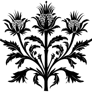 Vintage Scottish Thistle 