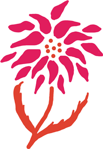 Designer wild flower