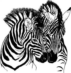 Zebras Cuddling