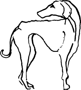 Greyhound