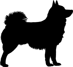 Schipperke Dog Silhouette