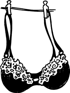 Fancy Bra