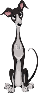 Italian Greyhound