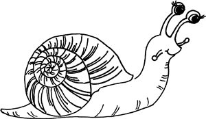 Snail