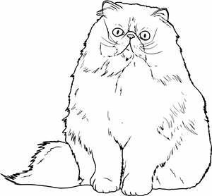 Sitting Persian Cat
