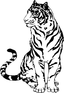 Sitting Tiger