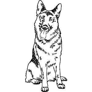 German Shepherd Dog