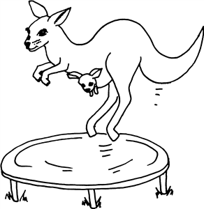 Kangaroo On Trampoline