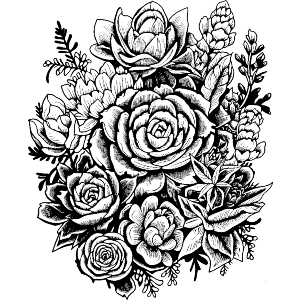 succulents