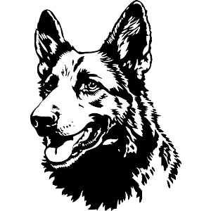 German Shepherd Portrait