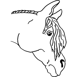 Horse Head