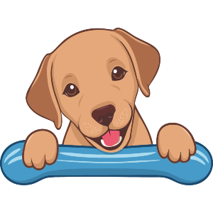 Labrador Retriever Puppy With A Toy 