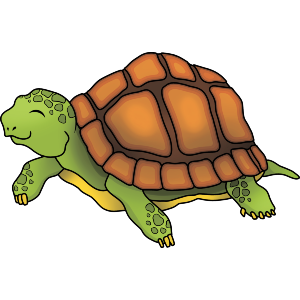 Happy Tortoise