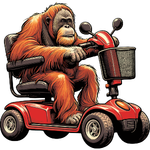 Orang Utan On Mobility Scooter