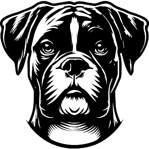 Boxer Dog