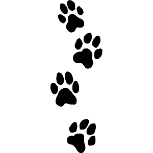 Dog Pawprints