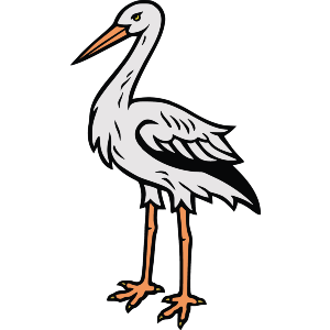 Bird Stork 